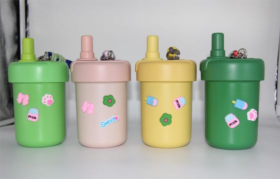 Novo estilo Copo de frutas colorido com tampa de aço inoxidável, cálice de café com paredes duplas